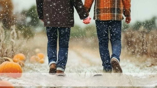 Snow Falling on Pumpkins Bild 4