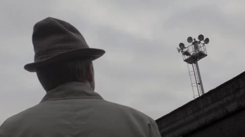 A Spot of Light Bild 1