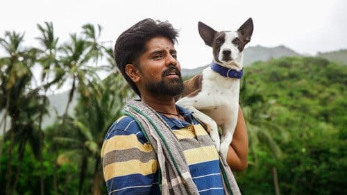 அலங்கு Bild 2