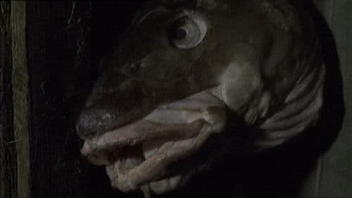 This Filthy Earth Bild 3