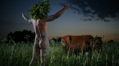 Midsummer Madness Bild 1