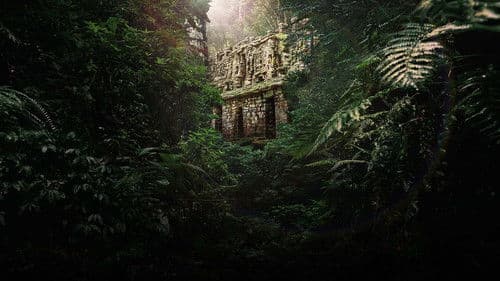 Der Fluch von Akakor - Der verlorene Schatz des Regenwaldes Bild 1