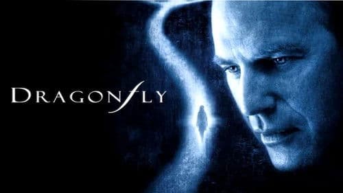 Im Zeichen der Libelle Bild 7