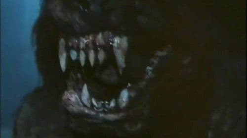 The Dark - Mörderische Nacht Bild 2