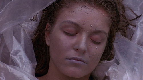 Twin Peaks Bild 6