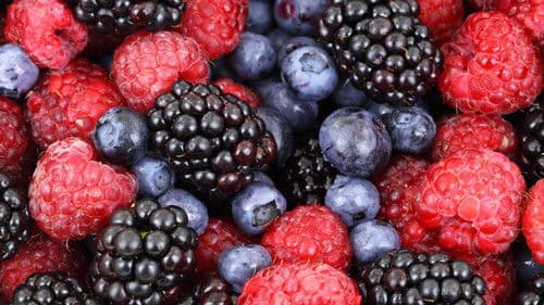 Harvesting the Land Bild 1