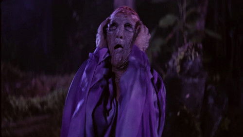 Misteri Dari Gunung Merapi III: Perempuan Berambut Api Bild 3