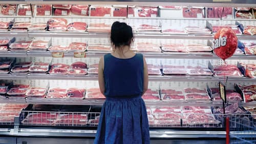 The Carnivores Bild 2