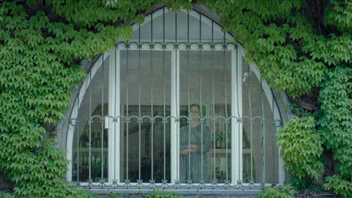 Wir töten Stella Bild 2