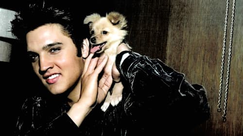 Tupelo's Own Elvis Presley Bild 7