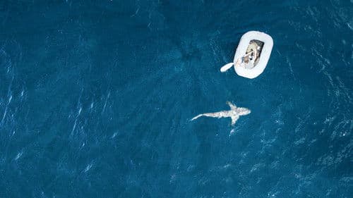 Ultimate Survival WWII Bild 4