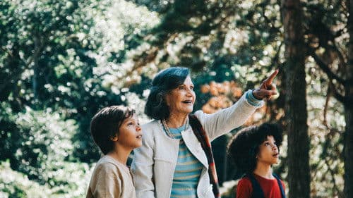 É Tempo de Amoras Bild 1