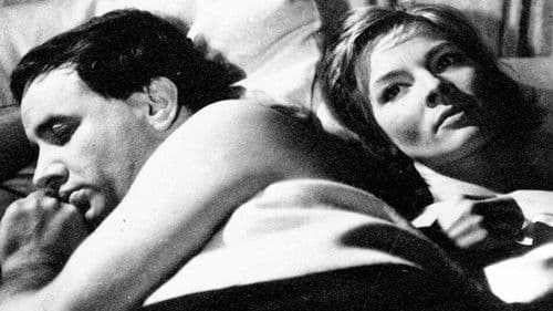 Wolf unter Wölfen Bild 4