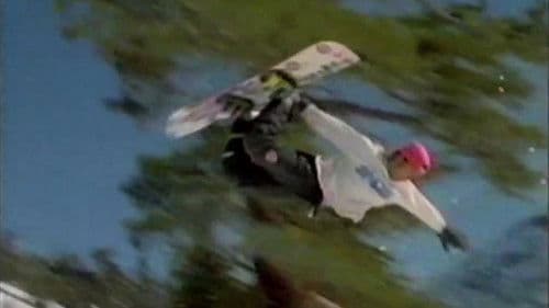 Totally Board Bild 2