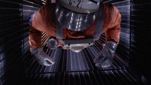 Das Arche Noah Prinzip Bild 6