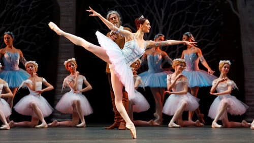 Bolshoi Ballet: Don Quixote Bild 1
