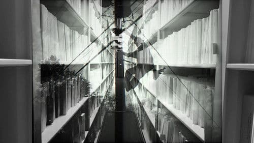 The Switching Division Bild 2