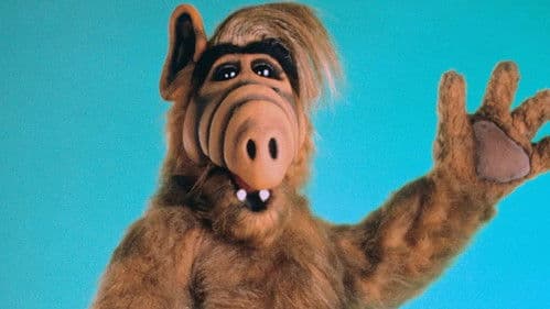 ALF Bild 7
