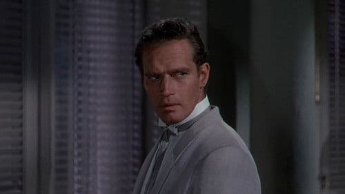 Wenn die Marabunta droht Bild 6