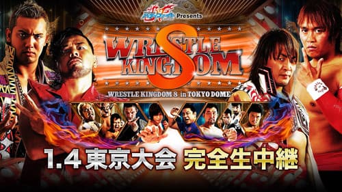 NJPW Wrestle Kingdom 8 Bild 2