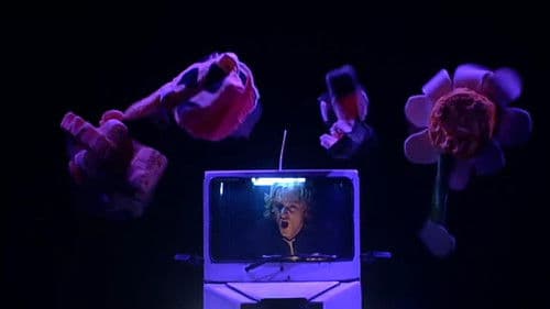 Rooyackers, Kamps & Kamps 4? Bild 1