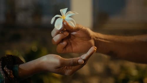 Frangipani: The Short Film Bild 2