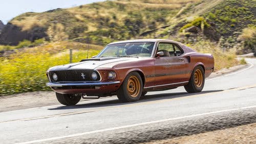 Roadkill Garage Bild 2