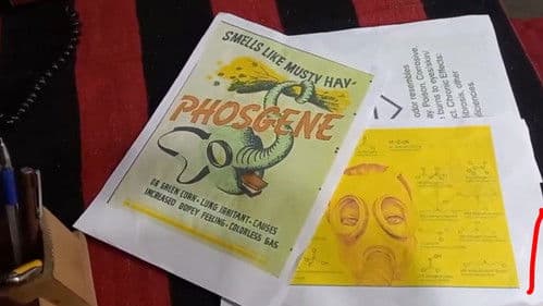 1984 Death Only Cure Bild 1