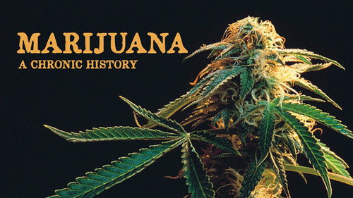 Marijuana: A Chronic History Bild 1