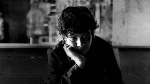 Todos Esses Dias em Que Sou Estrangeiro Bild 2