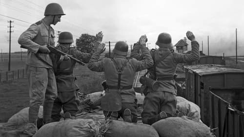 Krzyż Walecznych Bild 7