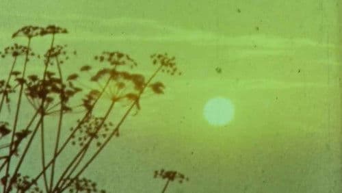 Мої вихідні Bild 1