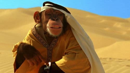 Minky - Der Affenspion in geheimer Misson Bild 1