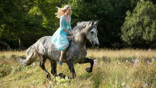 Cinderella Bild 5