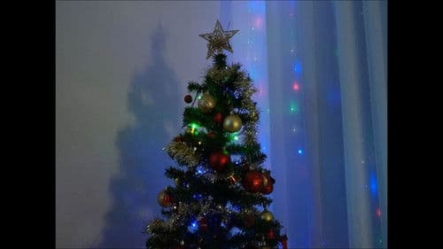 Laços de Natal Bild 6