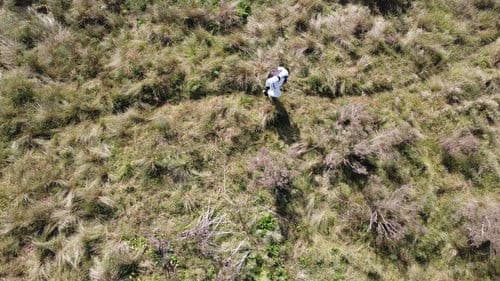 El Internauta Bild 1