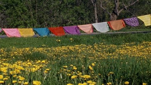 The Grand Bizarre Bild 2