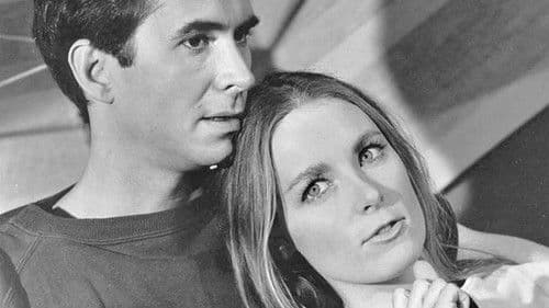 Evening Primrose Bild 3