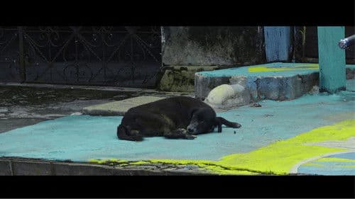 Rua da Felicidade Bild 1