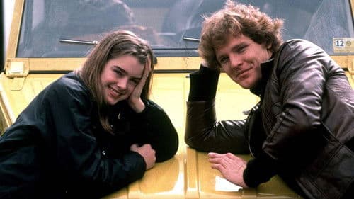 Flipper Queen - Ich kann's am besten Bild 5