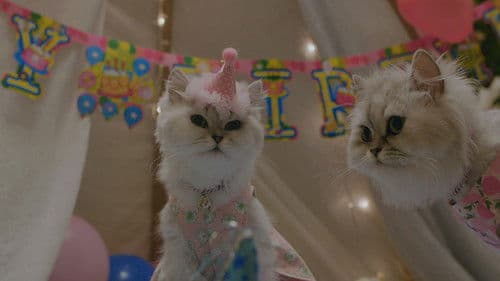 오늘도 위위 Bild 2