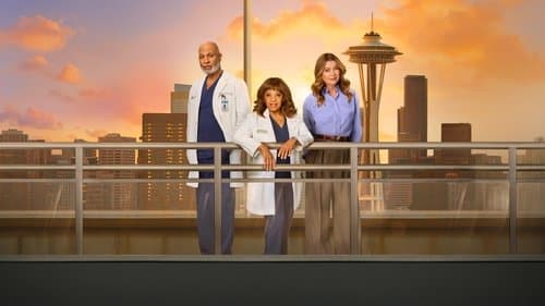 Grey's Anatomy Bild 6