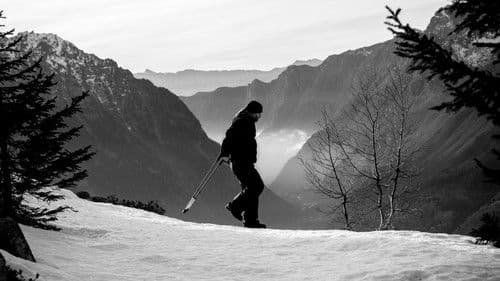 Amour et Pissenlit Bild 3