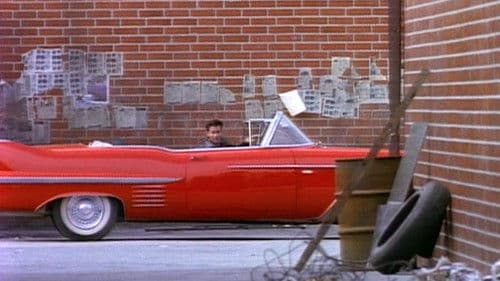 Dragstrip Girl Bild 3