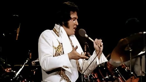Elvis in Concert Bild 1