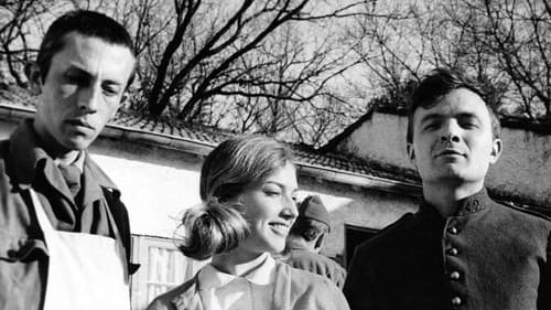 Tire-au-flanc 62 Bild 3