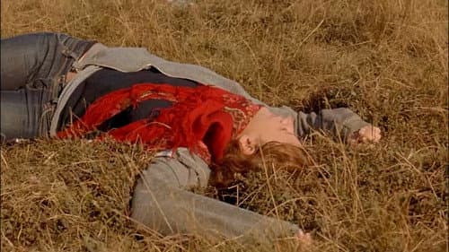 La vie au ranch Bild 3