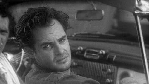 Private Property Bild 3