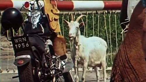 Jak się pozbyć czarnego kota? Bild 2