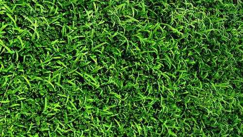 Besuch vom andern Stern Bild 3